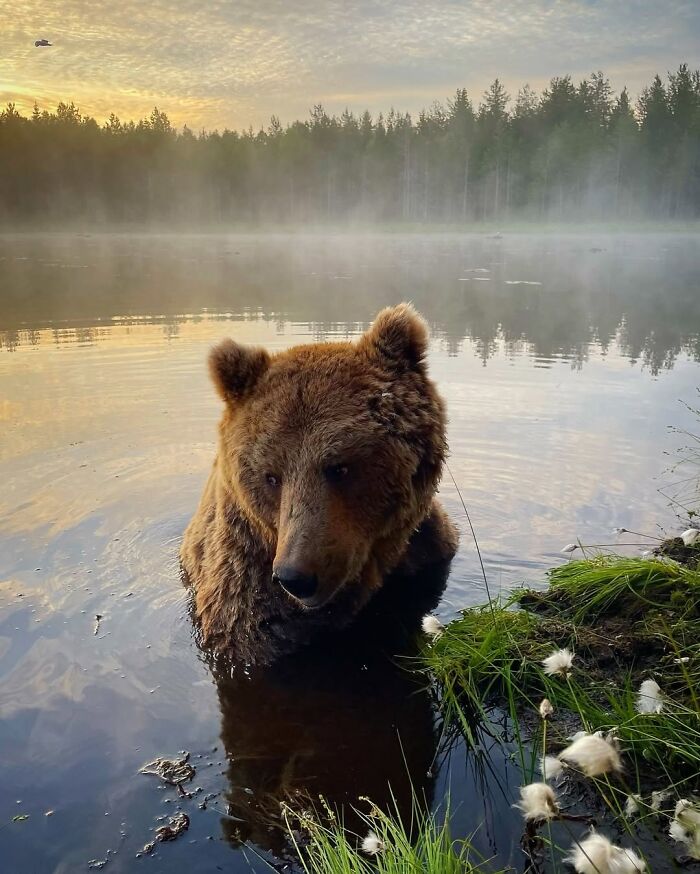 Wait, These Wildlife Shots Actually Stopped Us in Our Tracks!