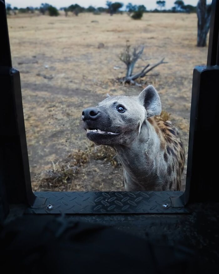 Wait, These Wildlife Shots Actually Stopped Us in Our Tracks!