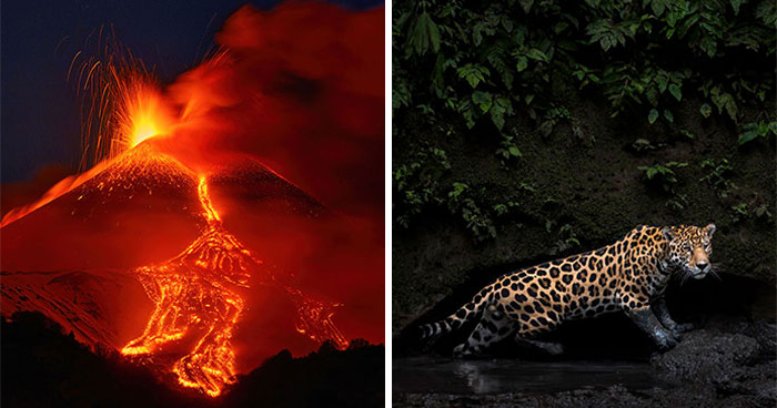 The 18 Most Jaw-Dropping Photos From This Year’s HIPA Awards (Seriously, Check These Out)