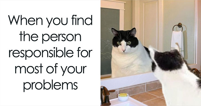 Meet The One Cat That’s Basically Memes 24/7 (And Yes, It’s Hilarious)