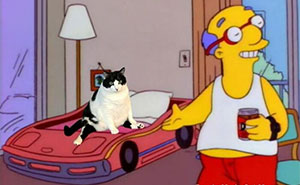 Meet The One Cat That’s Basically Memes 24/7 (And Yes, It’s Hilarious)