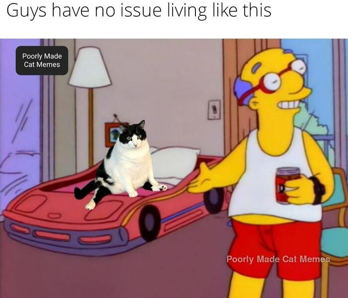 Meet The One Cat That’s Basically Memes 24/7 (And Yes, It’s Hilarious)