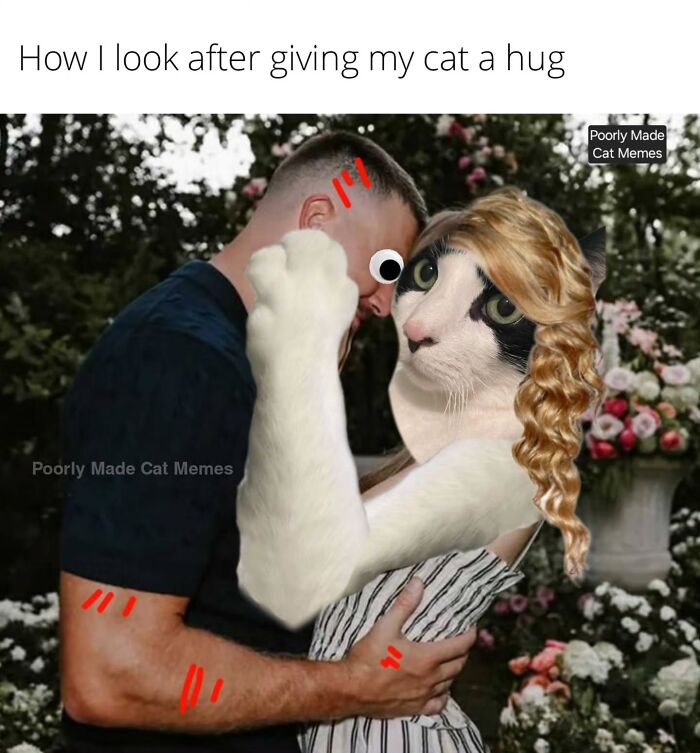 Meet The One Cat That’s Basically Memes 24/7 (And Yes, It’s Hilarious)