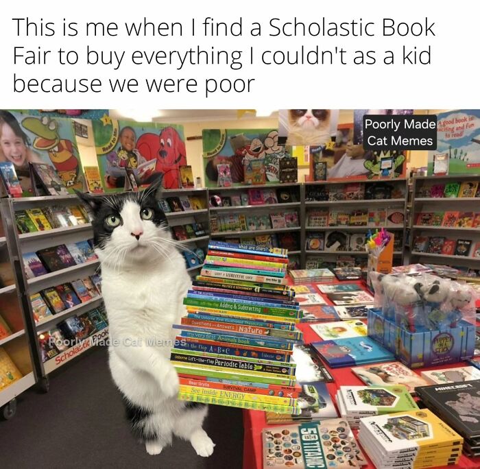 Meet The One Cat That’s Basically Memes 24/7 (And Yes, It’s Hilarious)