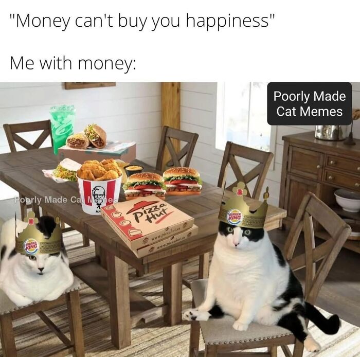 Meet The One Cat That’s Basically Memes 24/7 (And Yes, It’s Hilarious)