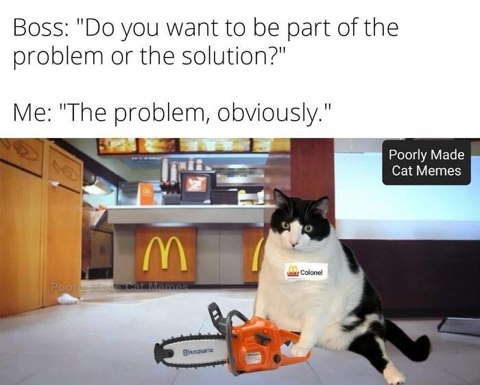 Meet The One Cat That’s Basically Memes 24/7 (And Yes, It’s Hilarious)