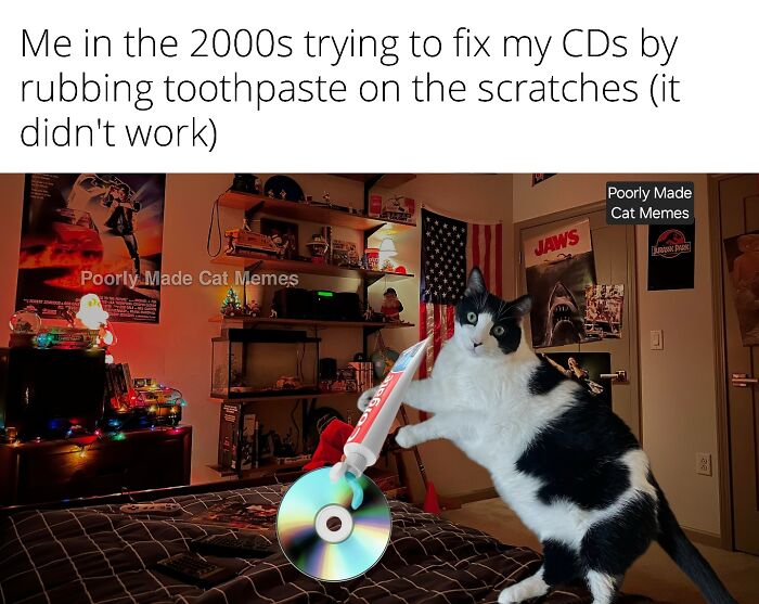 Meet The One Cat That’s Basically Memes 24/7 (And Yes, It’s Hilarious)