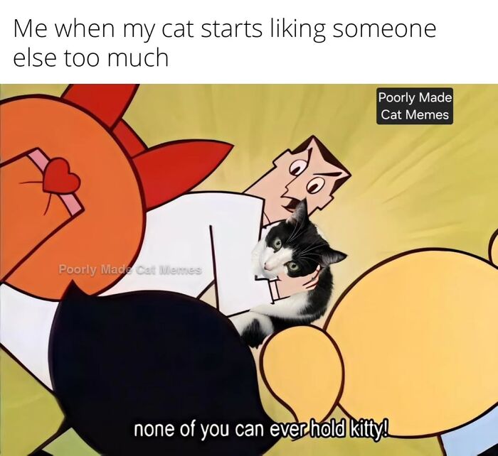 Meet The One Cat That’s Basically Memes 24/7 (And Yes, It’s Hilarious)