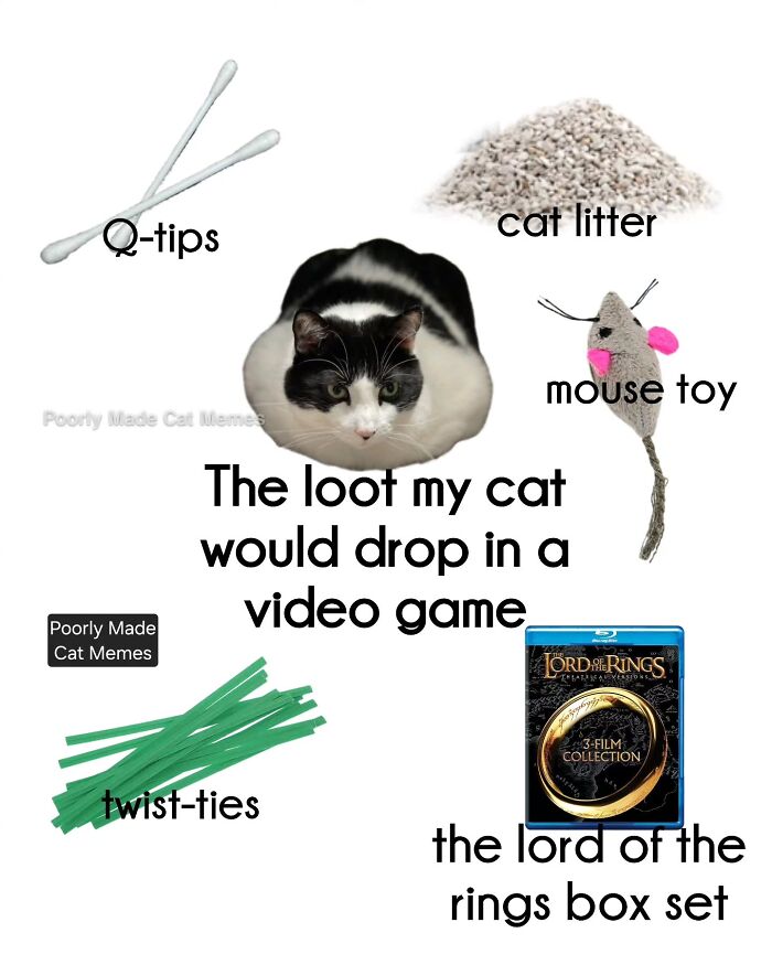 Meet The One Cat That’s Basically Memes 24/7 (And Yes, It’s Hilarious)