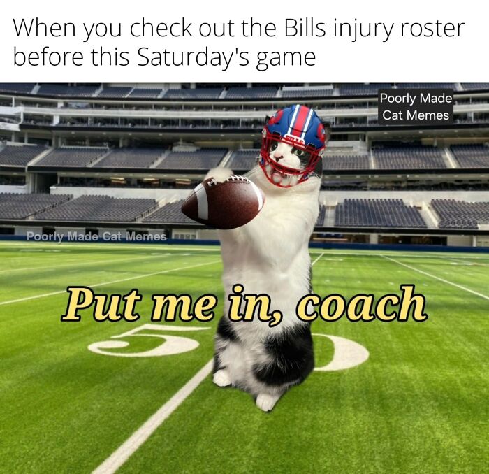 Meet The One Cat That’s Basically Memes 24/7 (And Yes, It’s Hilarious)