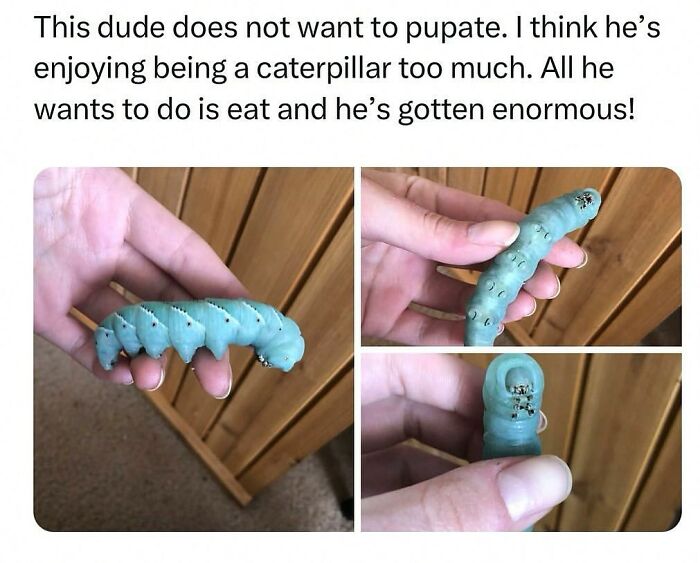 Wait, They Actually Posted These Hilarious Animal Pics?!