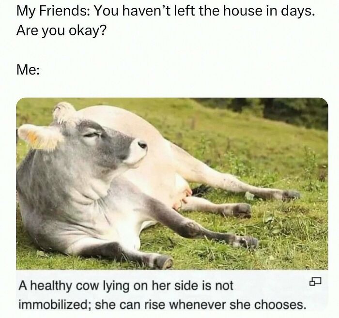 Wait, They Actually Posted These Hilarious Animal Pics?!