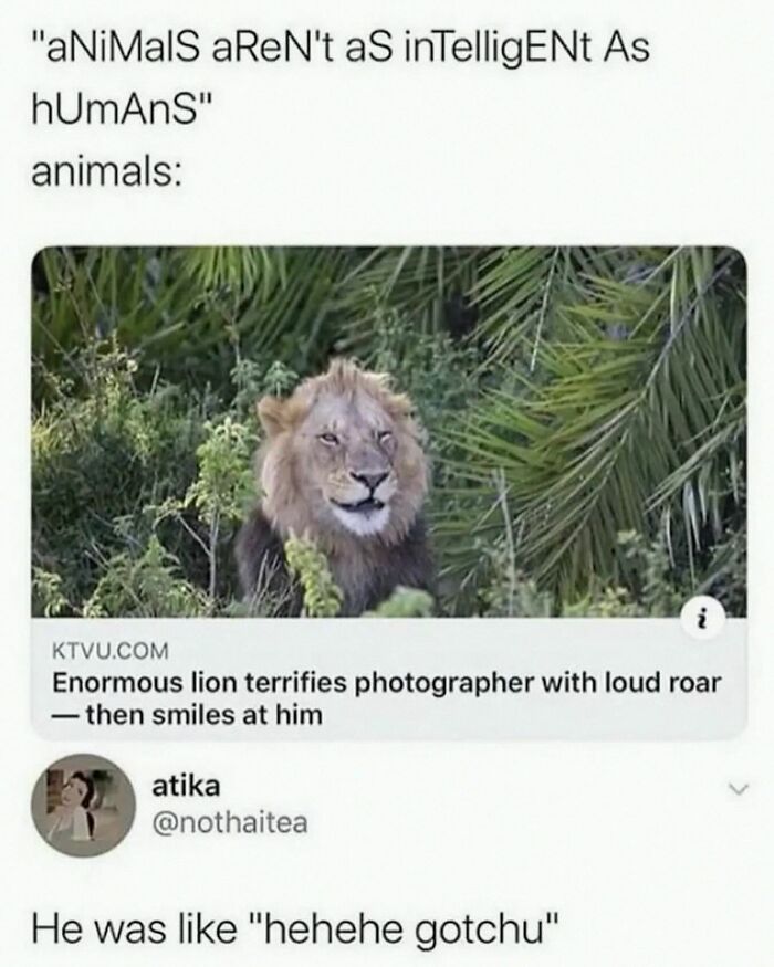 Wait, They Actually Posted These Hilarious Animal Pics?!