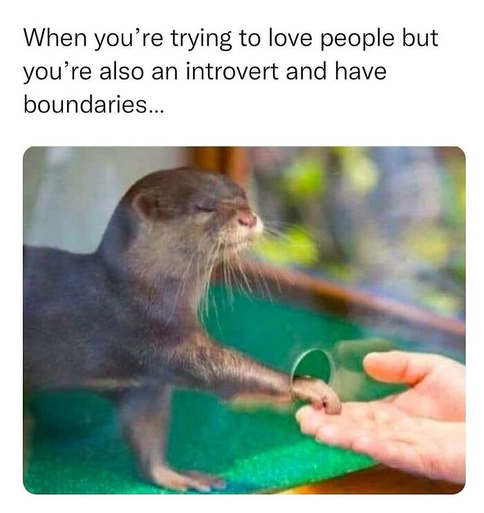 Wait, They Actually Posted These Hilarious Animal Pics?!