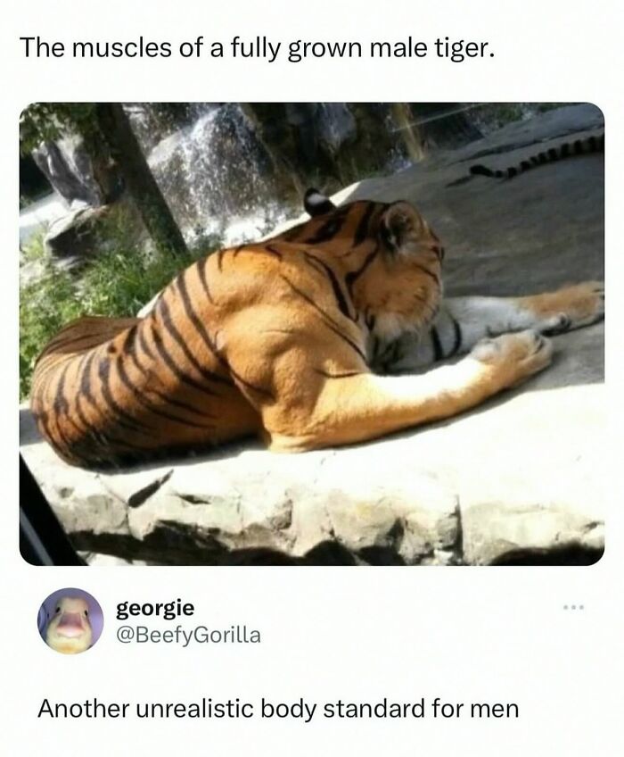 Wait, They Actually Posted These Hilarious Animal Pics?!