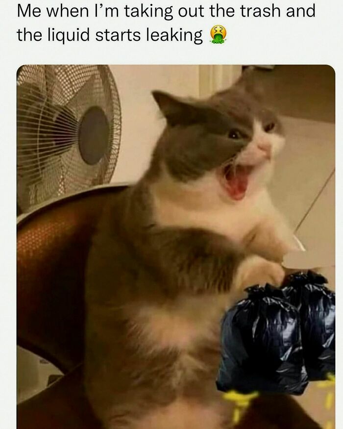 Wait, They Actually Posted These Hilarious Animal Pics?!