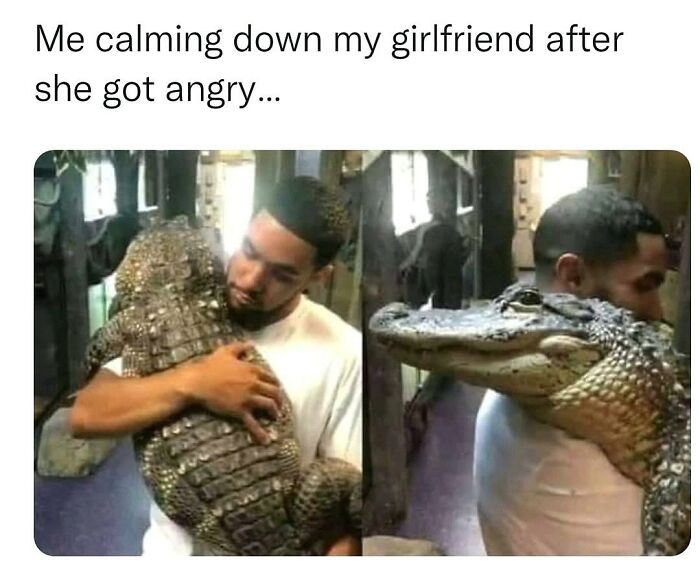 Wait, They Actually Posted These Hilarious Animal Pics?!