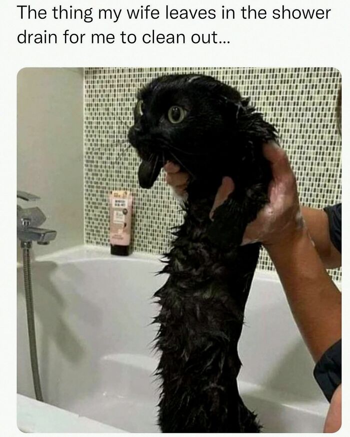 Wait, They Actually Posted These Hilarious Animal Pics?!