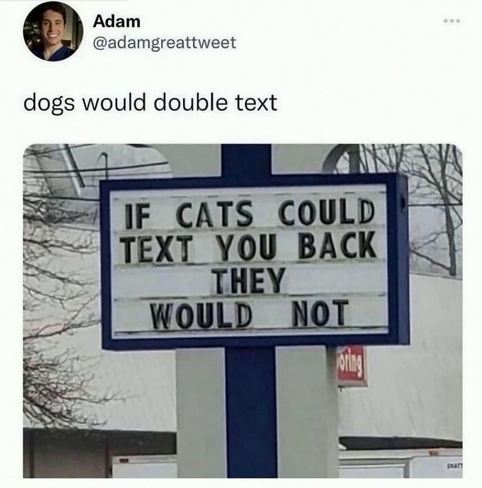 Wait, They Actually Posted These Hilarious Animal Pics?!