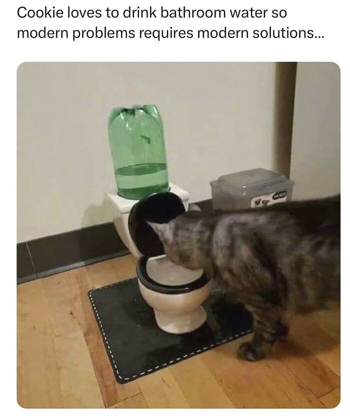 Wait, They Actually Posted These Hilarious Animal Pics?!