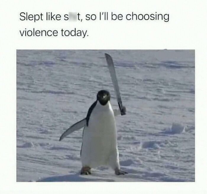 Wait, They Actually Posted These Hilarious Animal Pics?!