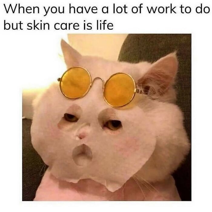 Wait, They Actually Posted These Hilarious Animal Pics?!