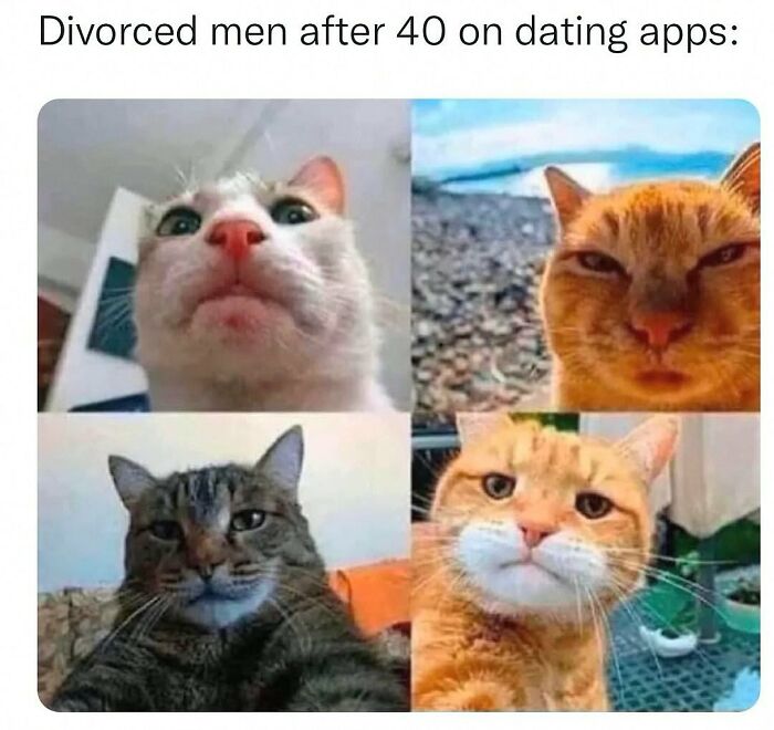 Wait, They Actually Posted These Hilarious Animal Pics?!