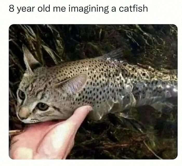 Wait, They Actually Posted These Hilarious Animal Pics?!