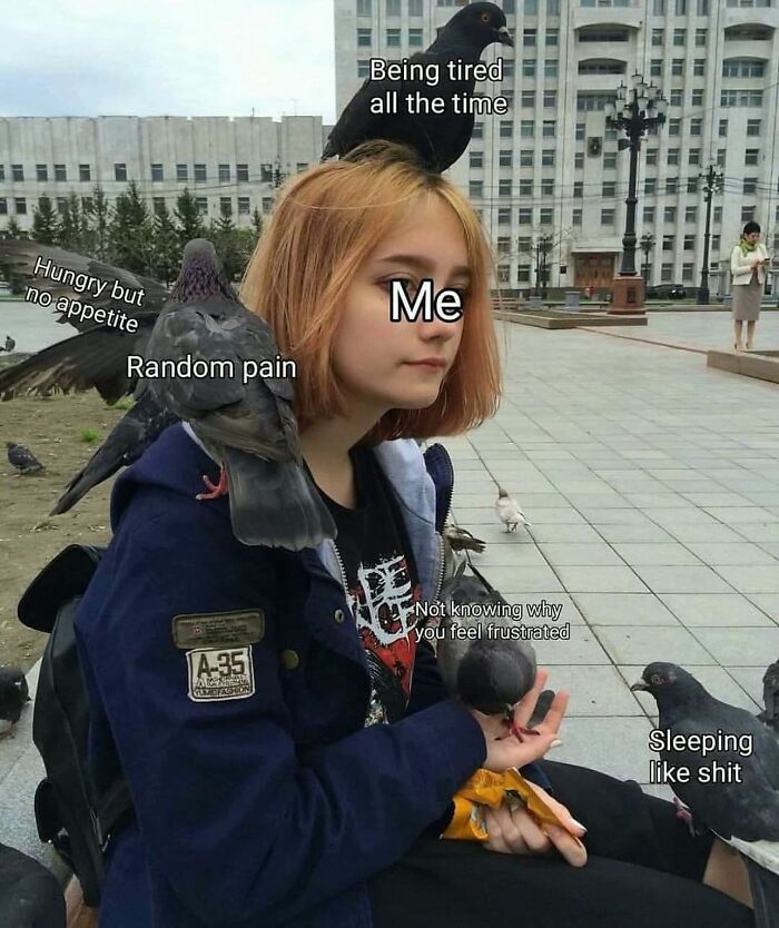 Wait, They Actually Posted These Hilarious Animal Pics?!