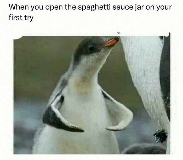 Wait, They Actually Posted These Hilarious Animal Pics?!