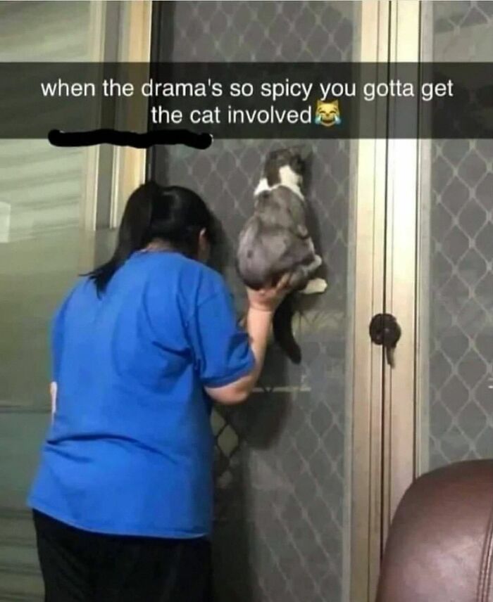 Wait, They Actually Posted These Hilarious Animal Pics?!