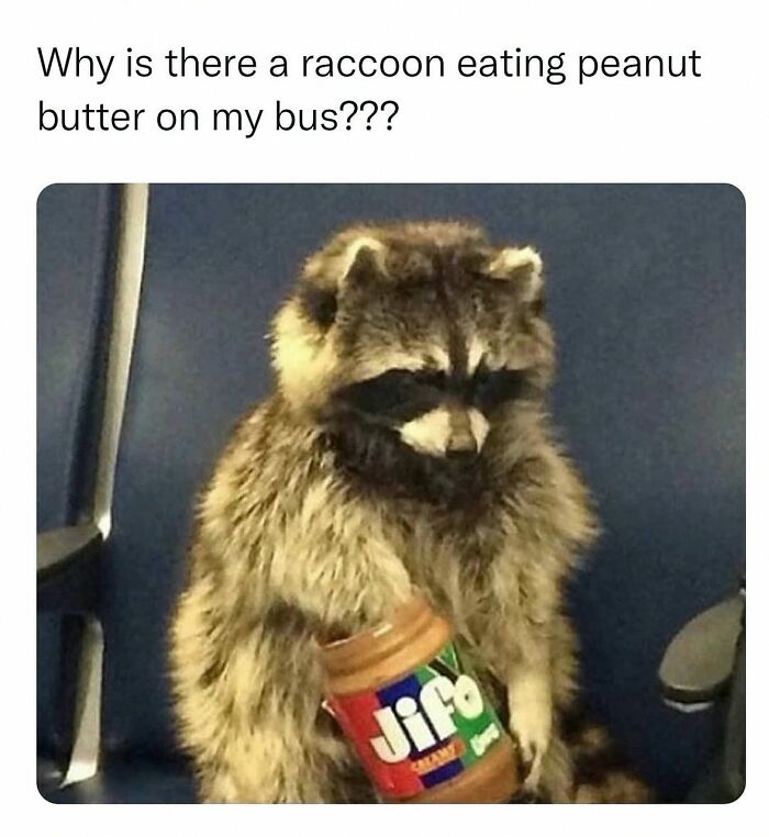 Wait, They Actually Posted These Hilarious Animal Pics?!