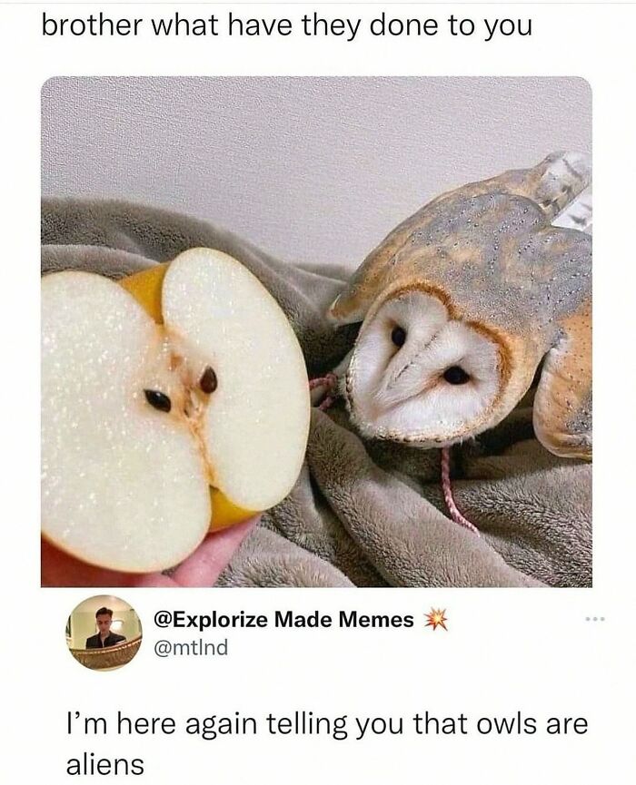 Wait, They Actually Posted These Hilarious Animal Pics?!