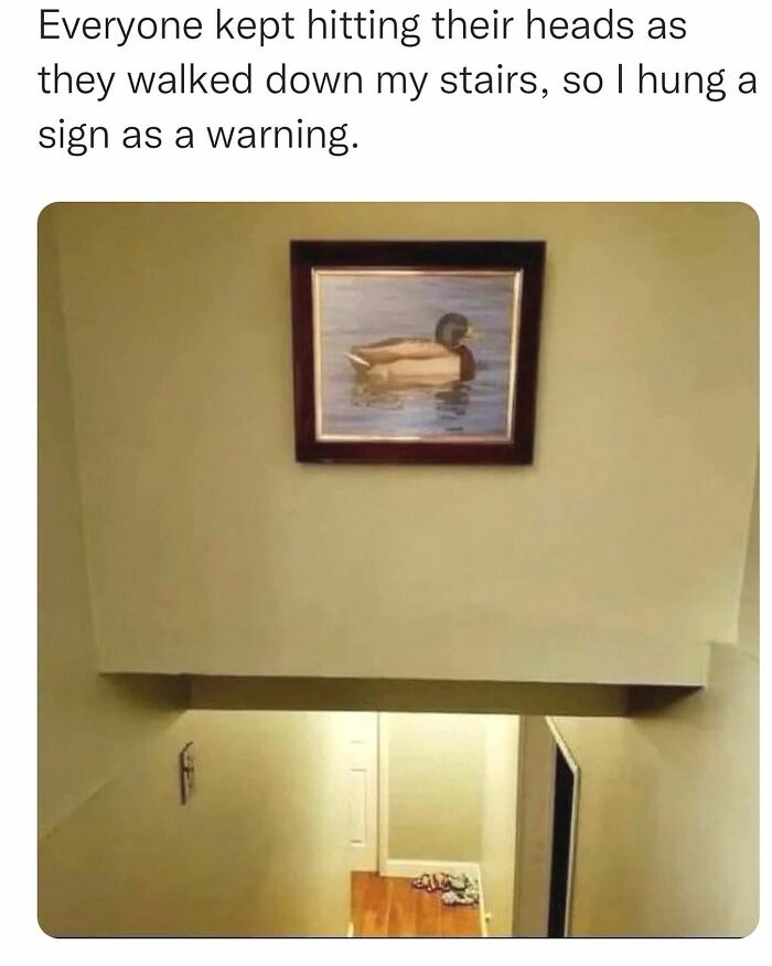 Wait, They Actually Posted These Hilarious Animal Pics?!