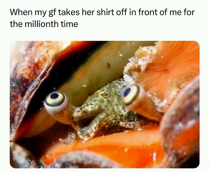 Wait, They Actually Posted These Hilarious Animal Pics?!