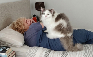 Pets Caught Red-Pawed: The Funniest ‘Uh-Oh’ Moments Ever