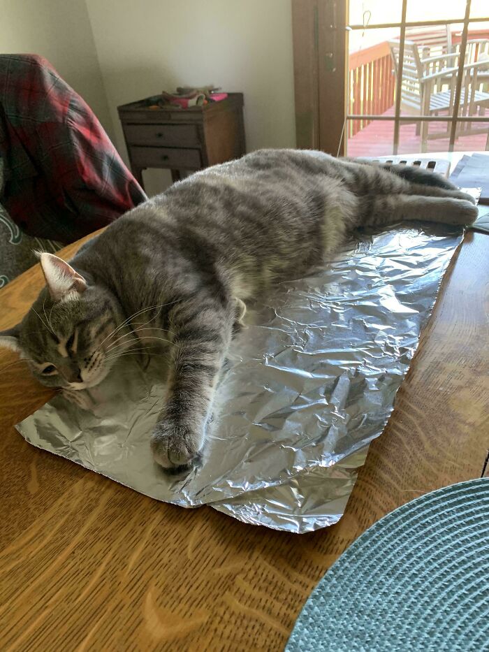 Well, That Plan Did NOT Go Smoothly