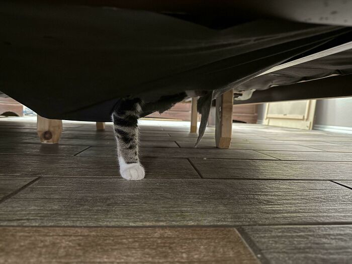 Where Was She? Hours Later, Found!