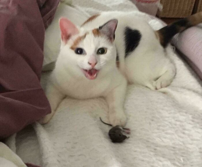 Thought It Was A Toy, But Nope, Still Alive!