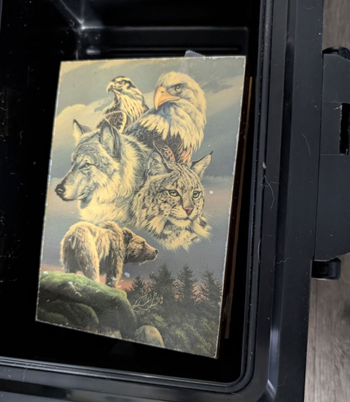 People Sharing The Wildest Reality Glitches They've Ever Seen