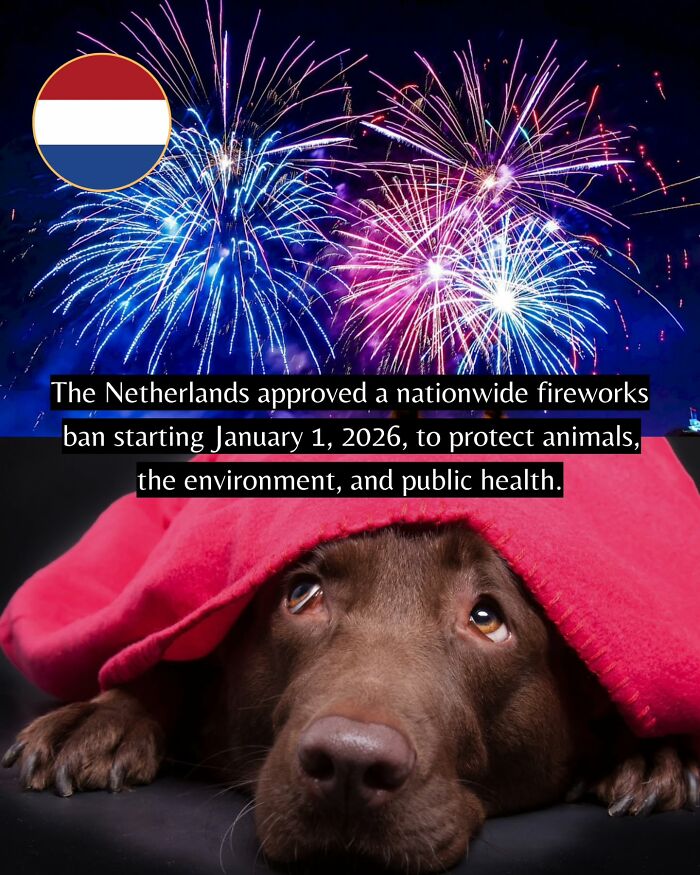 Let's Peek at 50 Good News Nuggets That Totally Brightened Our Day