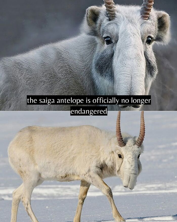 Let's Peek at 50 Good News Nuggets That Totally Brightened Our Day