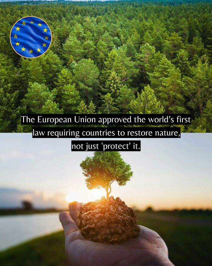 Let's Peek at 50 Good News Nuggets That Totally Brightened Our Day