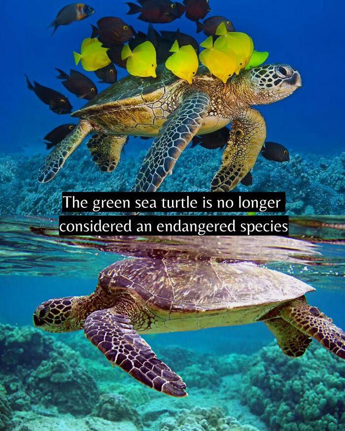 Let's Peek at 50 Good News Nuggets That Totally Brightened Our Day