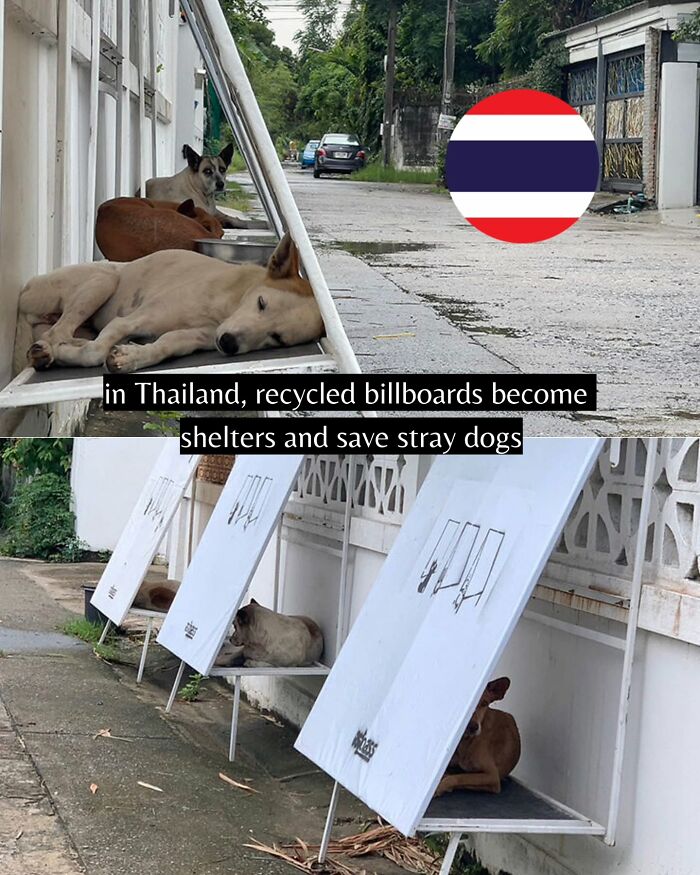 Let's Peek at 50 Good News Nuggets That Totally Brightened Our Day