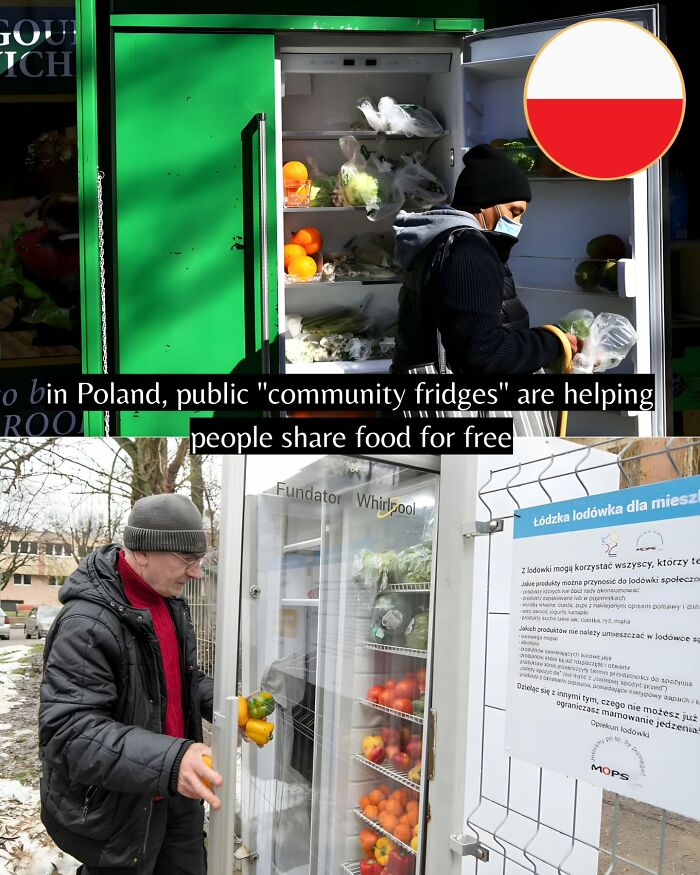 Let's Peek at 50 Good News Nuggets That Totally Brightened Our Day