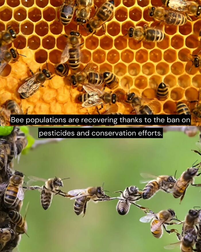 Let's Peek at 50 Good News Nuggets That Totally Brightened Our Day