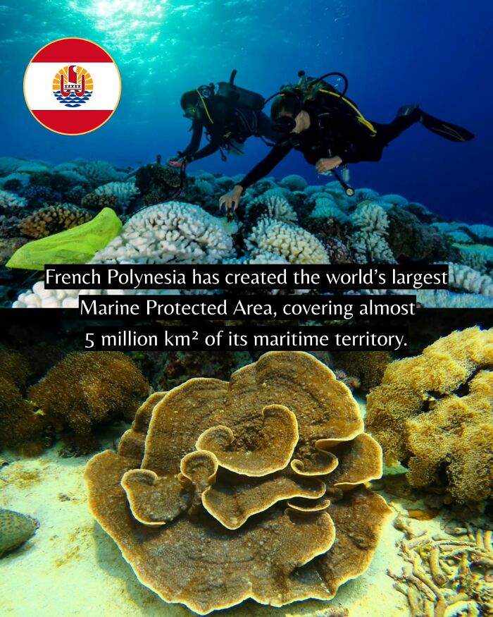 Let's Peek at 50 Good News Nuggets That Totally Brightened Our Day