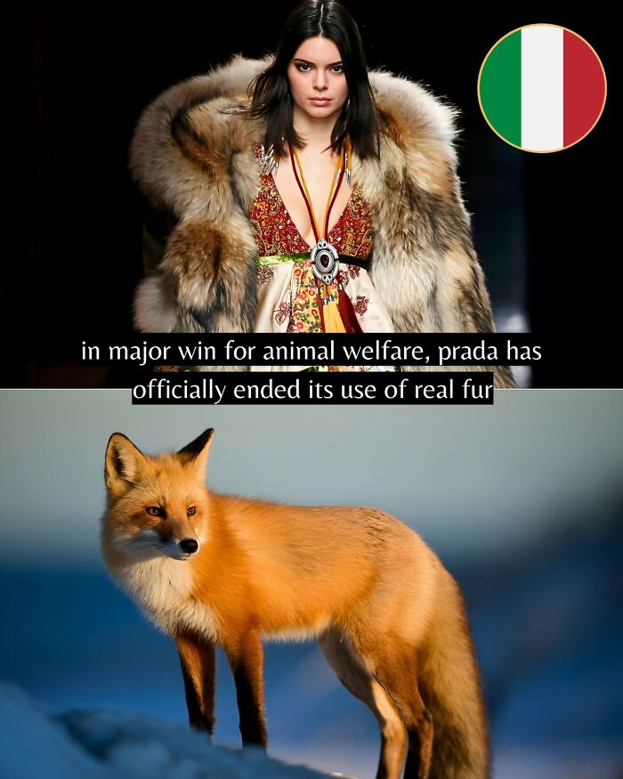 Let's Peek at 50 Good News Nuggets That Totally Brightened Our Day