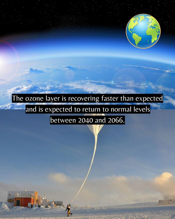 Let's Peek at 50 Good News Nuggets That Totally Brightened Our Day